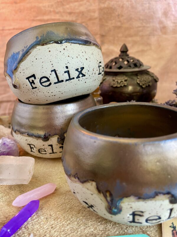 Felix felicis - Image 2