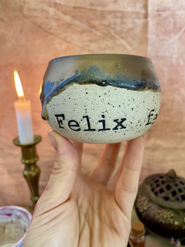Felix felicis - Image 4