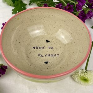 Miska Nech to plynout