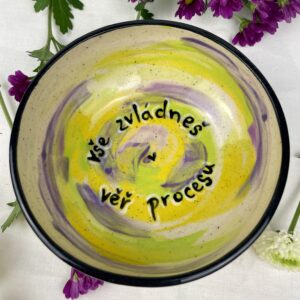Miska Vše zvládneš, věř procesu